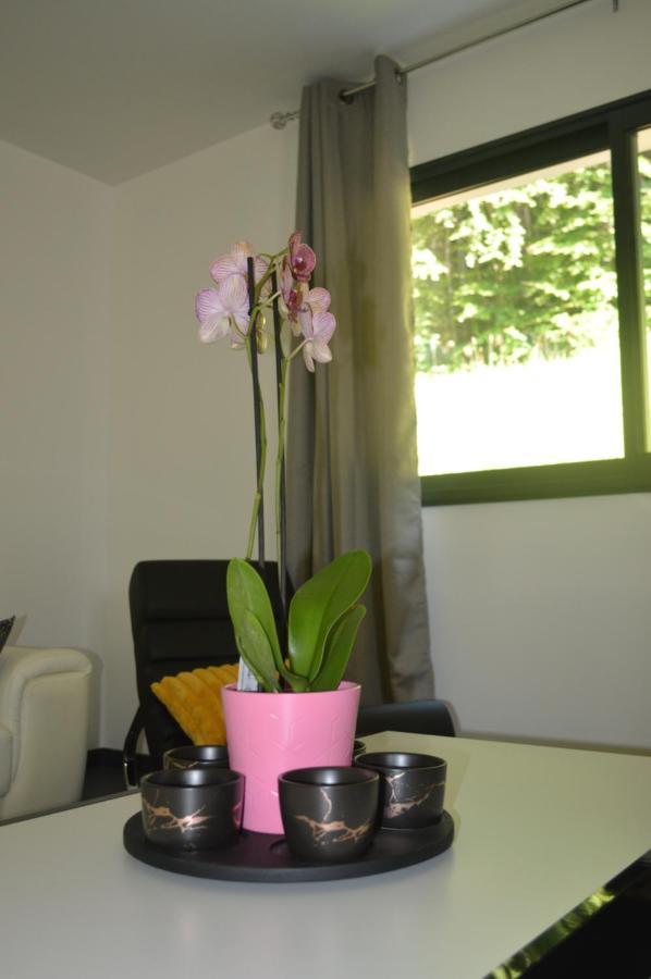 Vakantiehuis Chic Vanilla Home, Maison Moderne Entre Annecy Et Geneve Cruseilles
